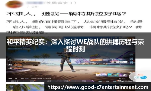 和平精英纪实：深入探讨WE战队的拼搏历程与荣耀时刻